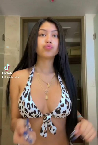 Desiree Montoya (@dxddy._.desi) #cleavage  #bikini  #leopard bikini  «living life in puerto rico»