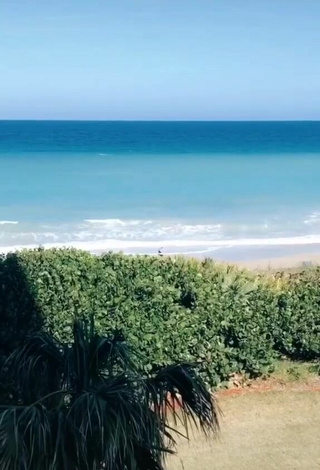 Olivia Dunne (@livvy) #beach  #bikini  #leopard bikini  «beach life #foryou #beach #florida»