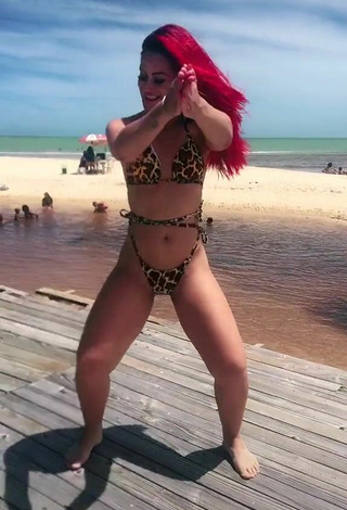 Mayca Delduque (@maycabrasil) #bikini  #leopard bikini  #booty shaking  #butt  #beach  #thong  «Sucessoooo!!!  ✨...»