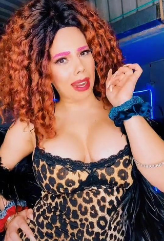 Lizbeth Rodríguez (@soylizbethrz) #cleavage  #dress  #leopard dress  «#lanatashas #viral #naca #foryou...»