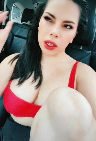 Lizbeth Rodríguez (@soylizbethrz) #cleavage  #bra  #red bra  #big boobs  «#loba #tiktok»