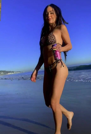 Caelike (@caelike) #beach  #bikini  #leopard bikini  #thong  «De que color el siguiente traje...»